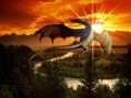 /album/fotogaleria/drak-400x300-jpg1/
