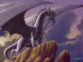 /album/fotogaleria/drak-jpg/