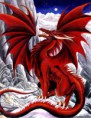 /album/fotogaleria/cerveny-drak-jpg1/